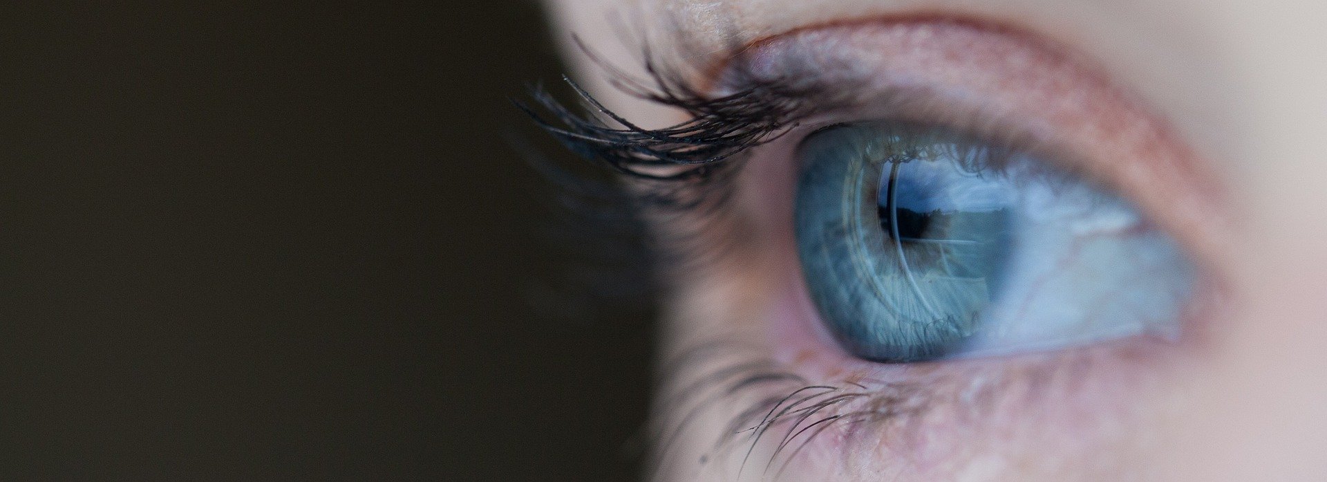 eye-691269_1920 Afbeelding van Free-Photos via Pixabay